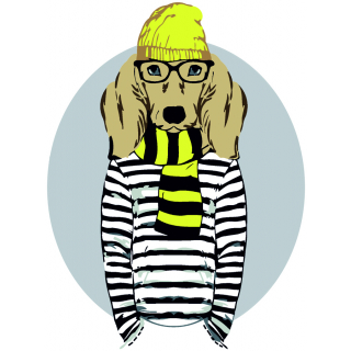 Картина за номерами „Stylish Dog“ 35×45см ROSA START