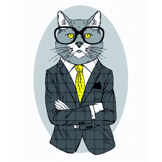 Картина за номерами „Fashion Cat“ 35×45см ROSA START