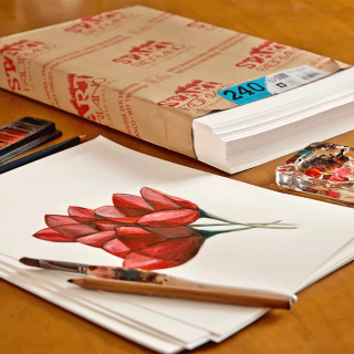 Папір для рисунку ST'ART Drawing Paper 50х65см 240г/м2 Fabriano