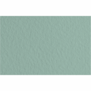 Папір для пастелі Tiziano B2 (50*70см), №13 salvia, 160г/м2, сіро-зелений, середнє зерно, Fabriano