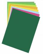 Папір для дизайну Fotokarton B2 (50*70см) №58 Хвойно-зелений, 300г/м2, Folia