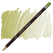 Олівець кольоровий Coloursoft (С450), Жовто-зелений, Derwent