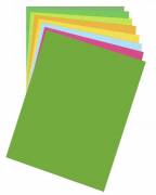 Папір для дизайну Fotokarton B2 (50*70см) №55 Трав'яно-зелений, 300г/м2, Folia