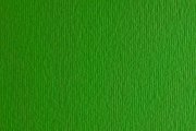 Папір для дизайну Elle Erre В2 (50*70см), №11 verde, 220г/м2, зелений, дві текстури, Fabriano