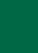 Папір для дизайну Tintedpaper В2 (50*70см), №58 хвойно-зелений, 130г/м, без текстури, Folia